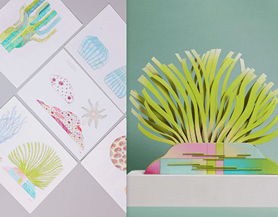 Coral exploration 2025.