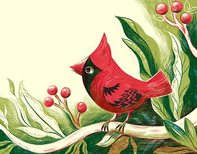 Digital Art: Bright Birds Brand Illustrations