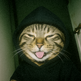 ZZZZZACK Kim 的个人资料