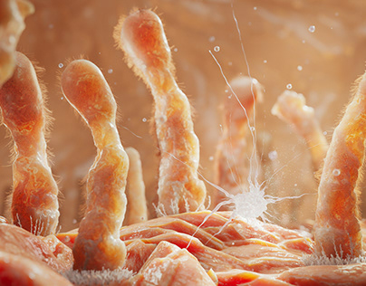 3D medical MEMBRANE. MEMBRANE MADNESS!