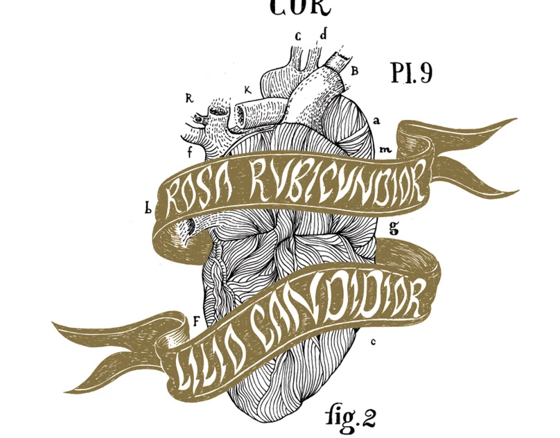 项目缩略图 - Stage 4. Work in Progress (unpublished 2015)
