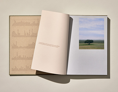 Echoes of the Land: Winemakers of Portugal