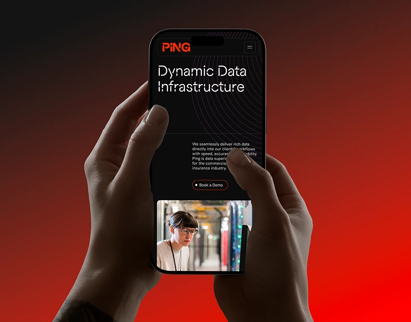 项目缩略图 - Ping Data Intelligence