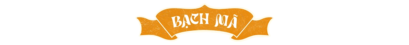 ILLUSTRATION  Digital Art  calendar house design dân gian Hàng Trống Ngựa tet key visual