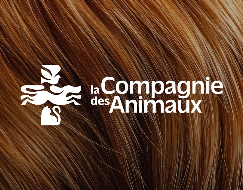 项目缩略图 - La Compagnie des Animaux - Brand identity