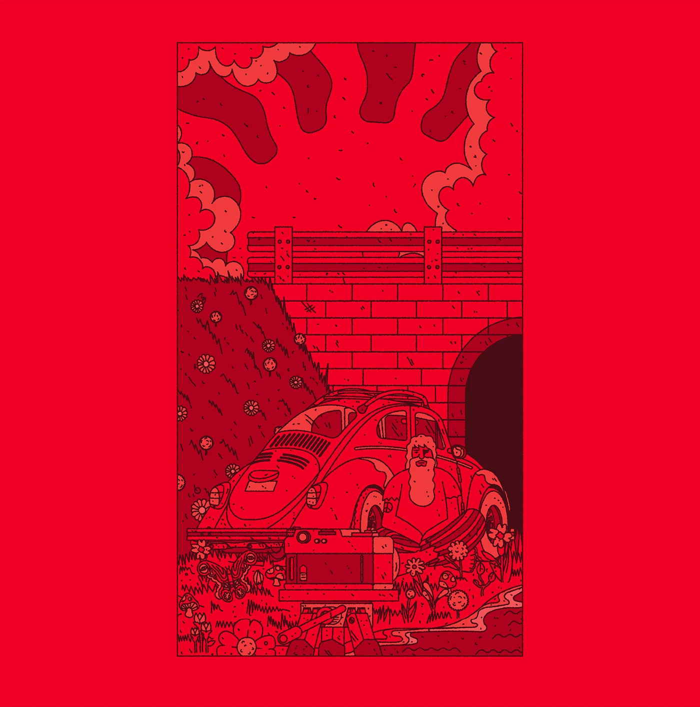 ILLUSTRATION  free illustration Vector Illustration Procreate Illustrator Brazil argentina