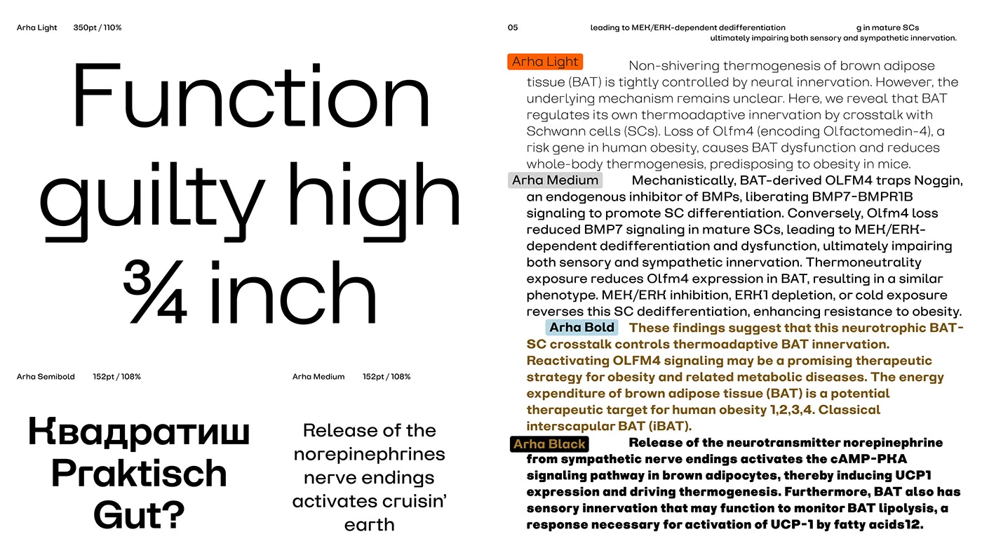 sans Typeface Georgian font ქართული ფონტი Armenian font geometric sans multilingual Variable Font Cyrillic greek