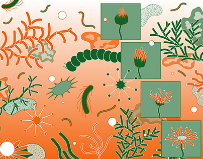 Rayo verde: Comamos tierra